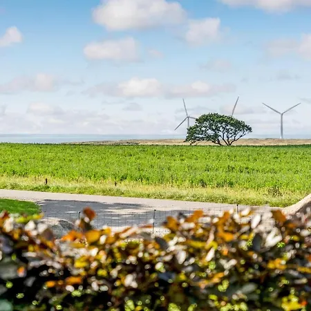 Solovej Xi * אבלטופט