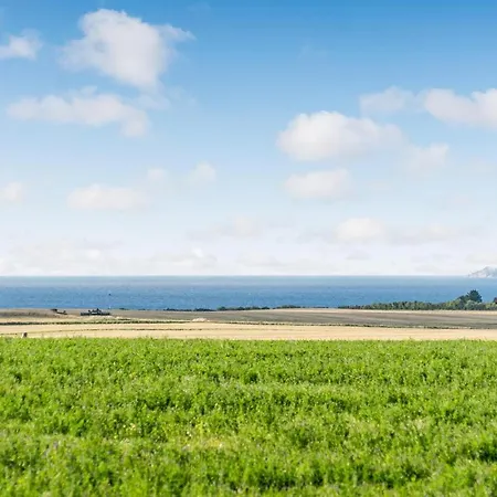 Solovej Xi * אבלטופט